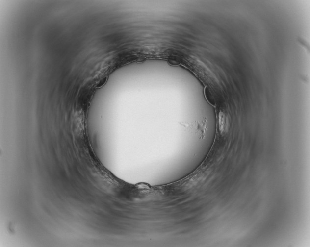 X0000096221107200802011337