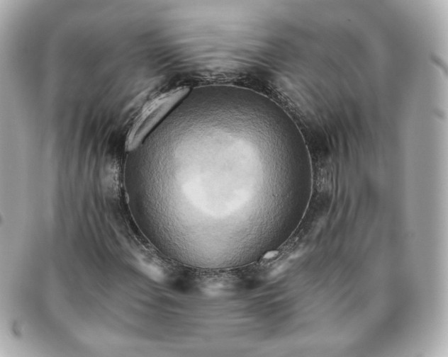 X0000096221108200802011337