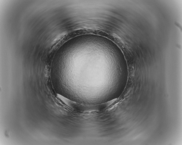 X0000096221110200802011337