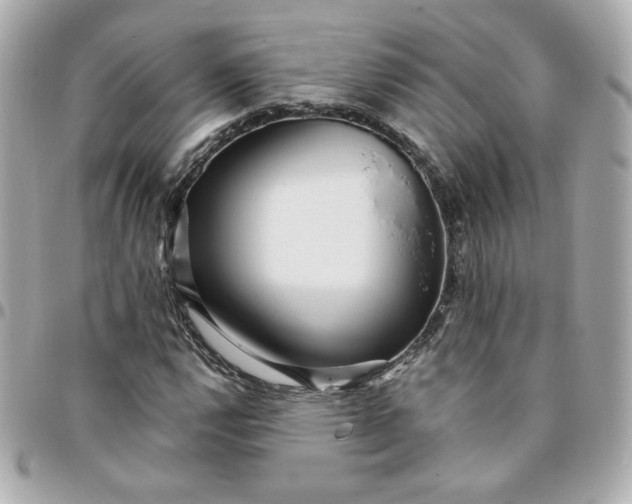 X0000096221112200802011337