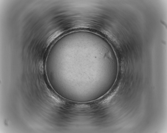 X0000096221113200802011337