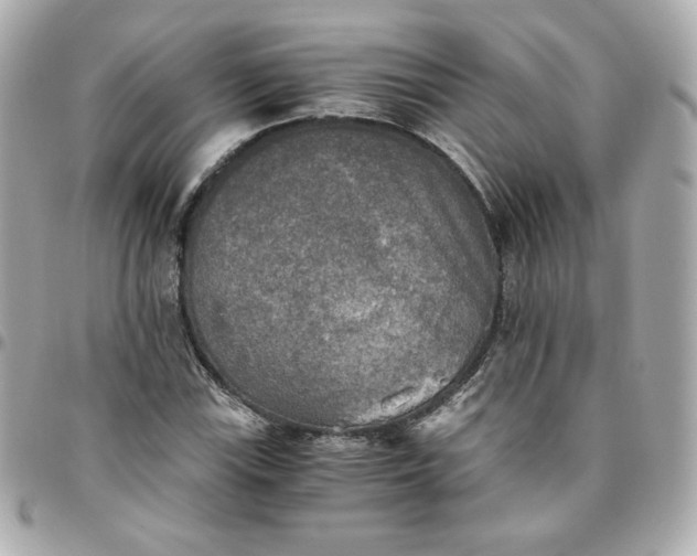 X0000096221115200802011337