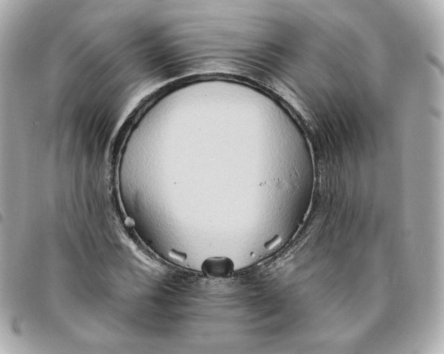 X0000096221116200802011337