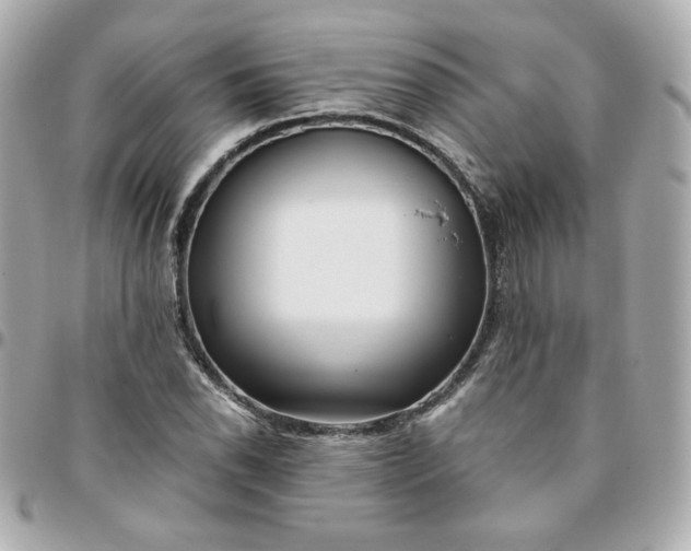 X0000096221118200802011337