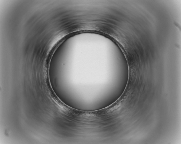 X0000096221119200802011337