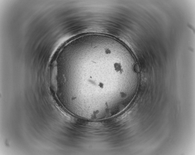 X0000096221123200802011337