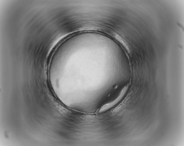 X0000096221124200802011337