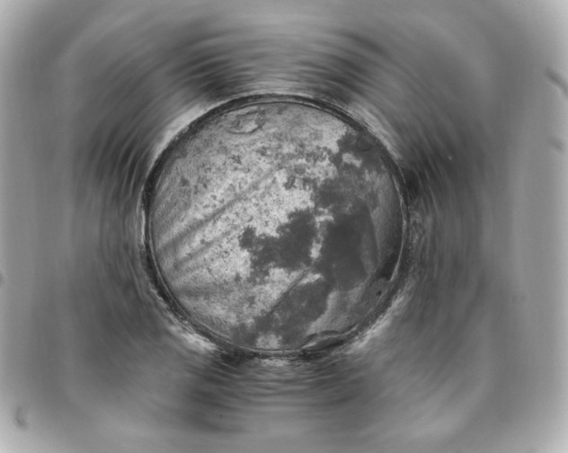 X0000096221125200802011337