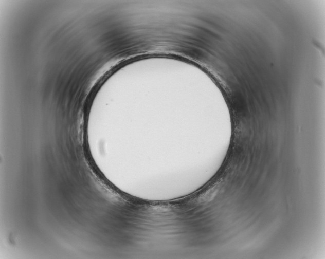 X0000096221126200802011337