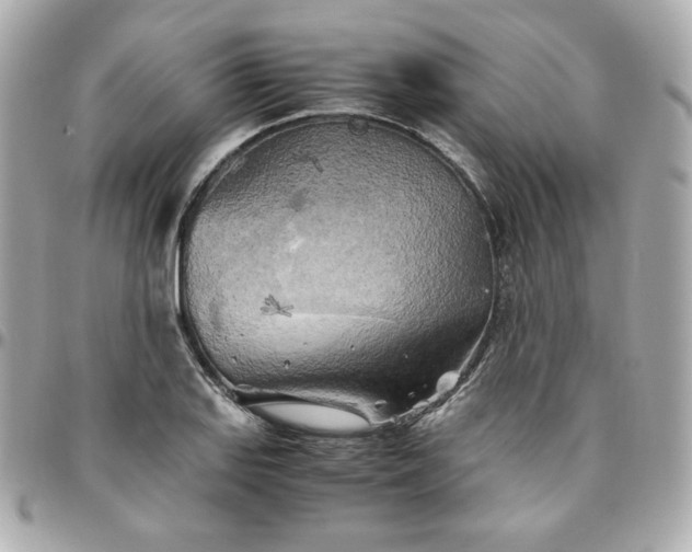 X0000096221127200802011337