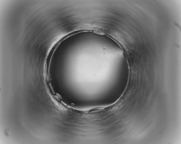 X0000096221128200802011337