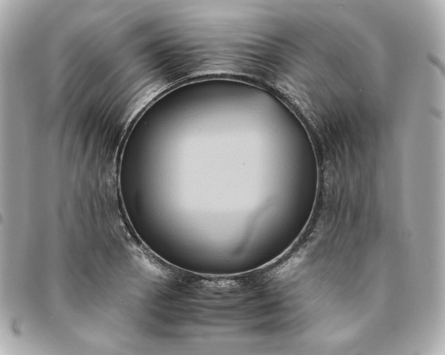 X0000096221129200802011337