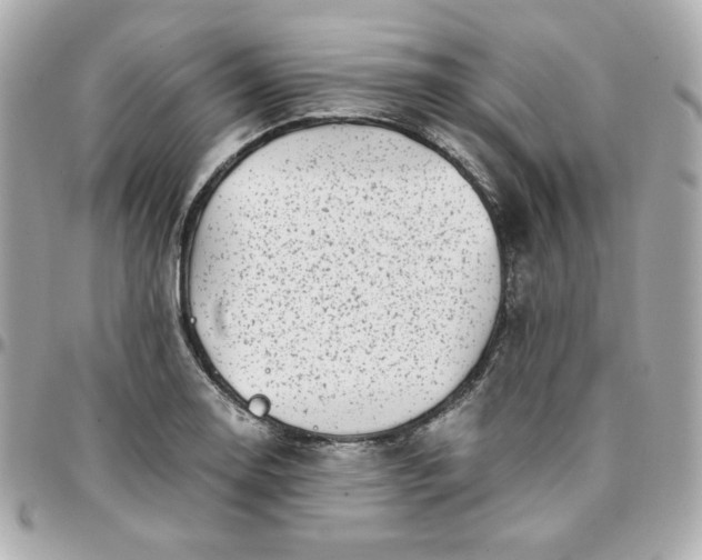 X0000096221130200802011337