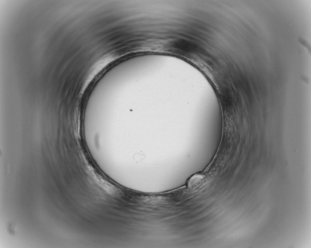 X0000096221131200802011337