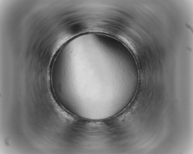 X0000096221133200802011337