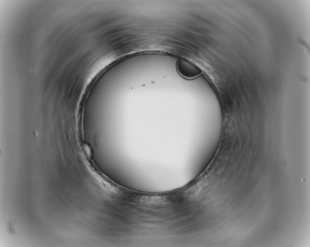 X0000096221135200802011337