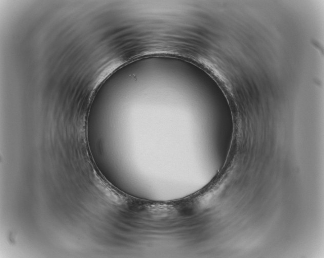 X0000096221137200802011337