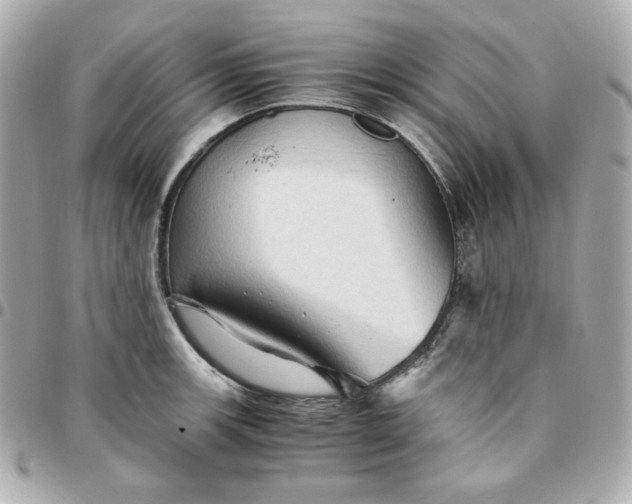 X0000096221139200802011337