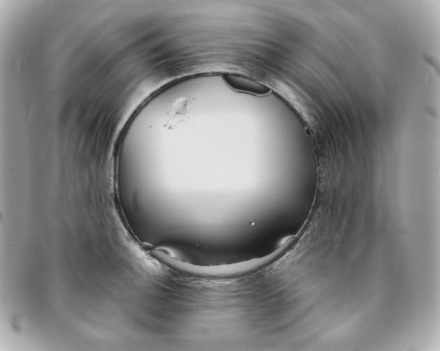 X0000096221140200802011337