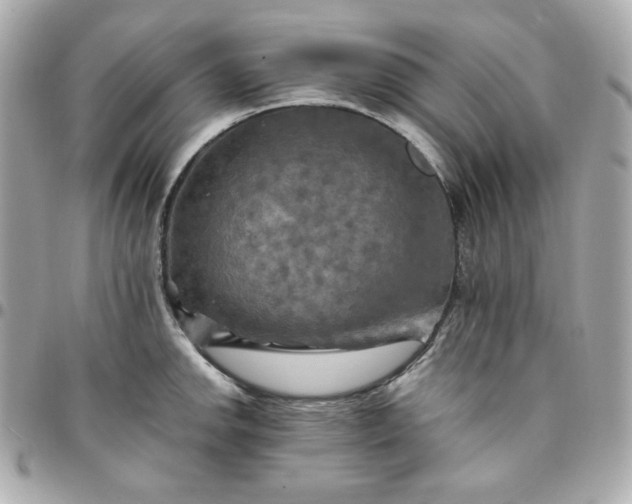 X0000096221142200802011337