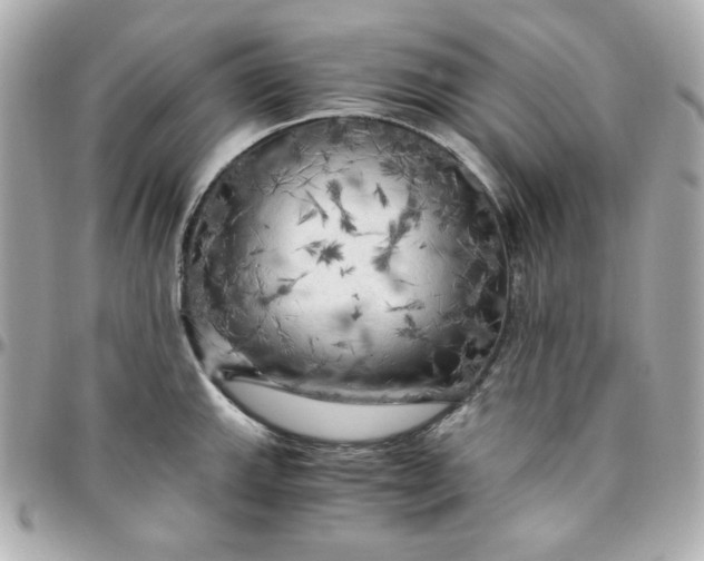 X0000096221143200802011337