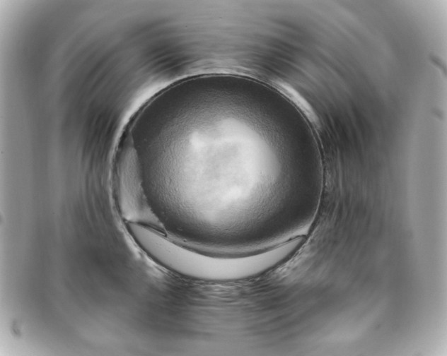 X0000096221144200802011337