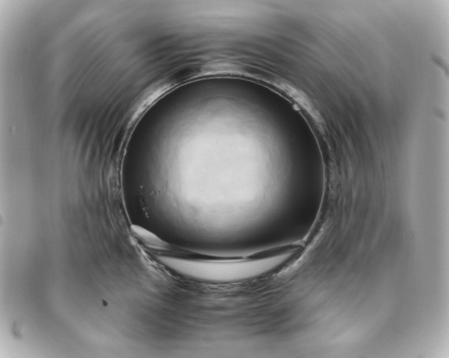 X0000096221145200802011337