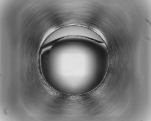 X0000096221146200802011337