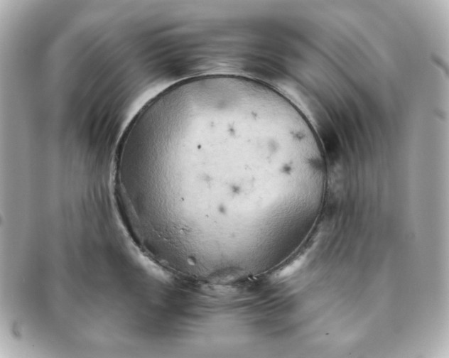 X0000096221149200802011337