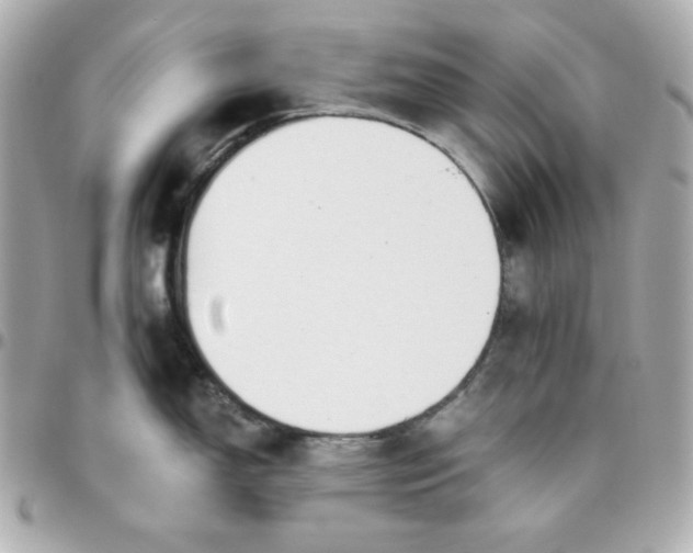 X0000096221150200802011337