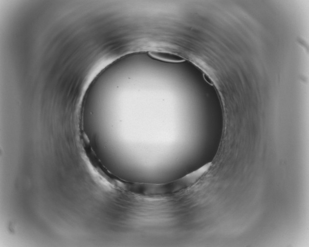 X0000096221152200802011337