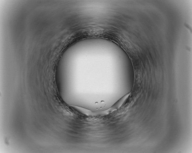 X0000096221153200802011337