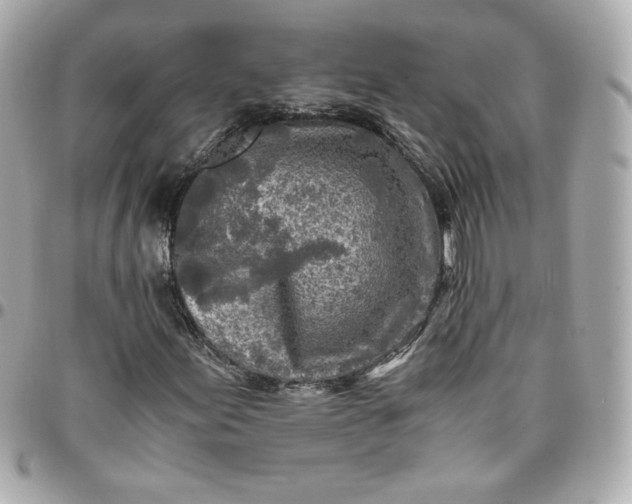 X0000096221155200802011337