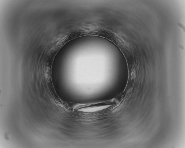 X0000096221156200802011337