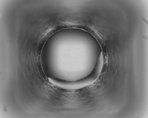 X0000096221157200802011337