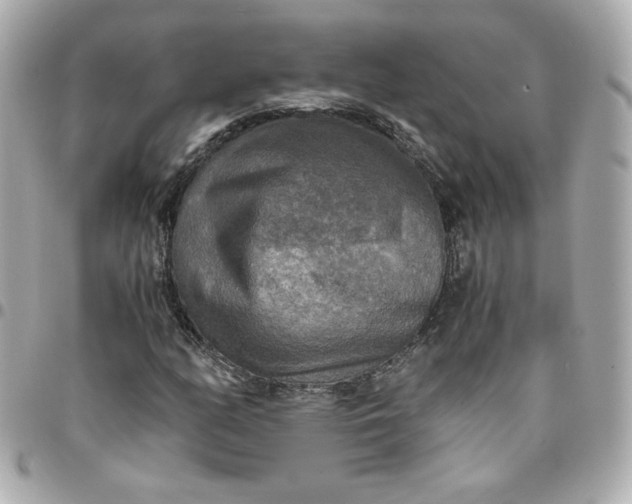 X0000096221158200802011337