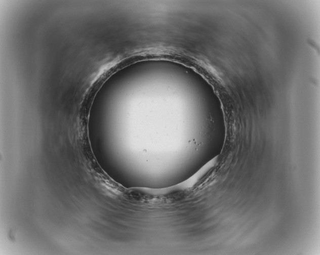 X0000096221160200802011337