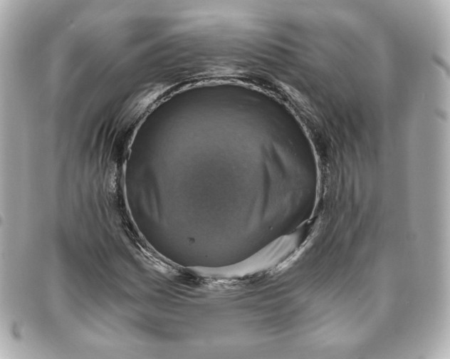 X0000096221161200802011337