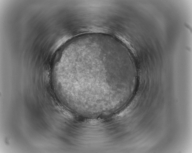 X0000096221163200802011337