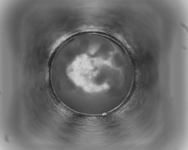 X0000096221167200802011336