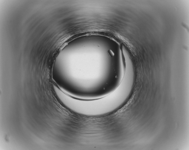 X0000096221169200802011336