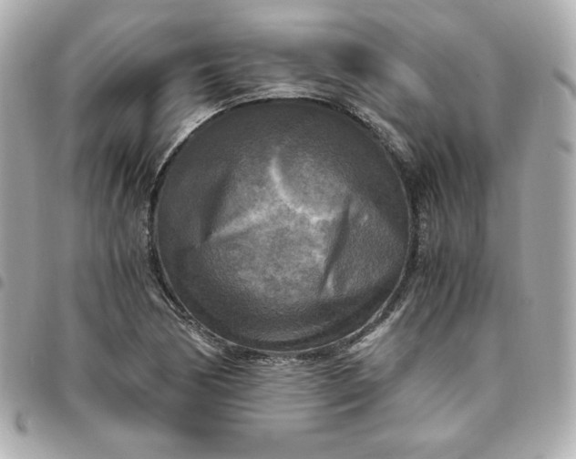 X0000096221170200802011336