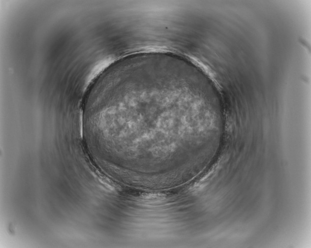 X0000096221171200802011336