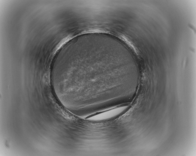 X0000096221173200802011336