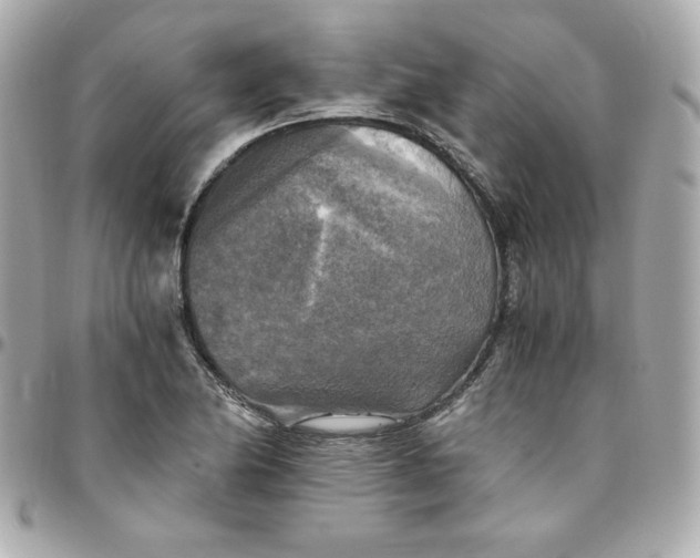 X0000096221174200802011336