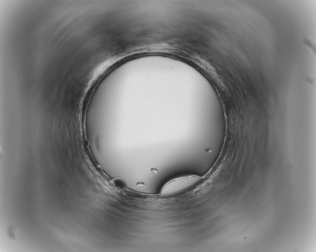 X0000096221176200802011336