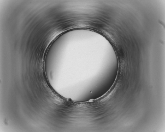 X0000096221178200802011336