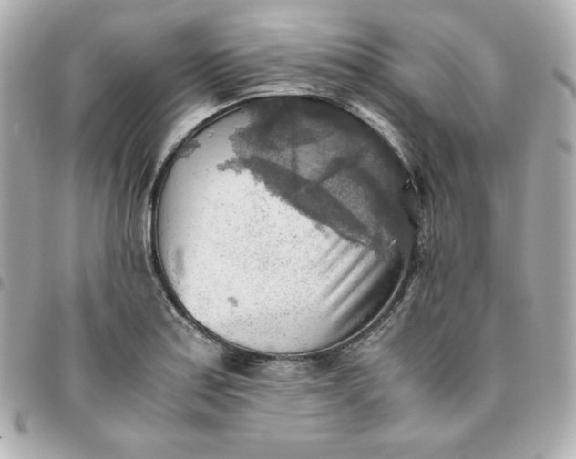 X0000096221179200802011336