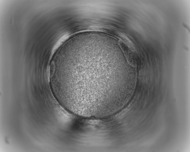 X0000096221180200802011336