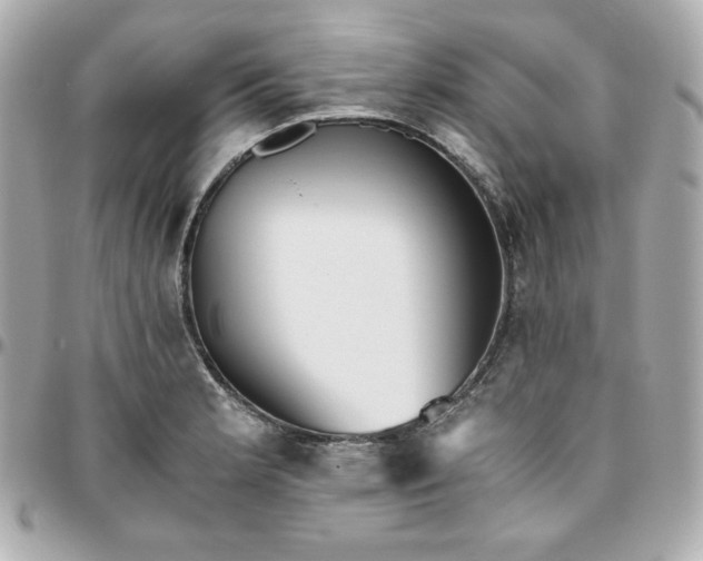 X0000096221181200802011336